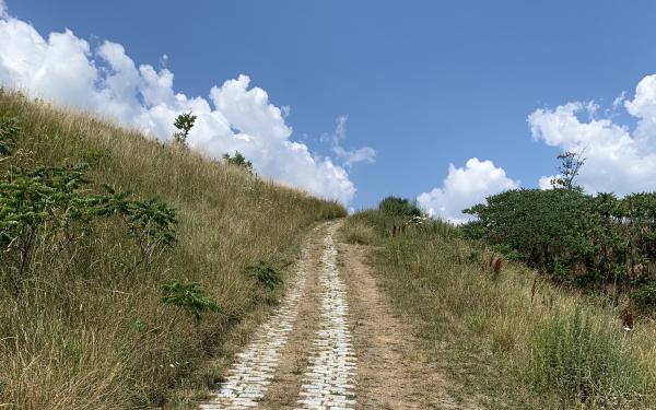 A concrete-bricked path cutting through a grassy hill under a blue sky.