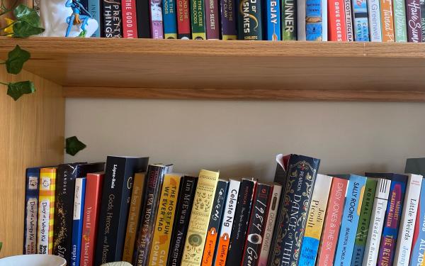 masters with thesis or without A picture of my bookshelf, featuring some figurines I have for decoration.
