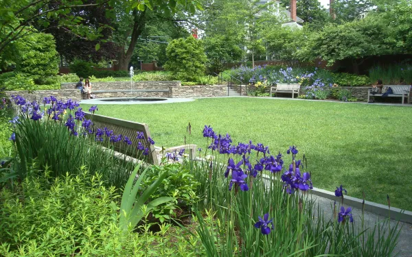 The Sunken Garden
