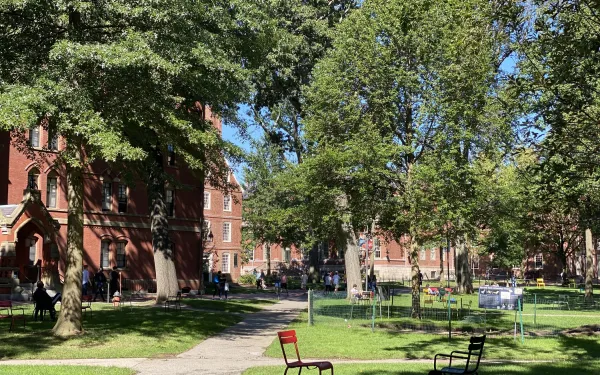 Picture of Harvard Yard