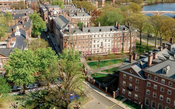 harvard yard