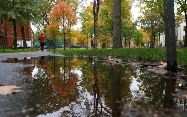 A view of Harvard Yard as it rains in the Fall