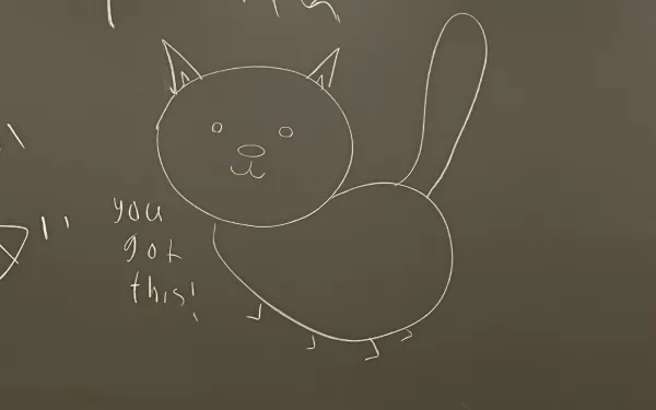 Drawing of a cat on a chalk board with the message "you got this!" written on the left