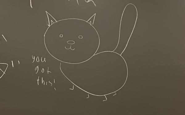 Drawing of a cat on a chalk board with the message "you got this!" written on the left