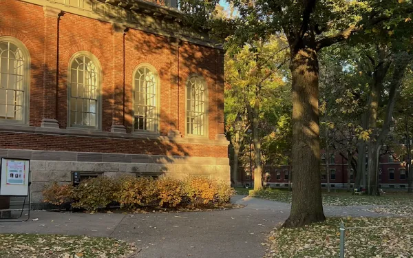 A path in Harvard's yard during the fall with green, yellow, and red leaves on the ground.