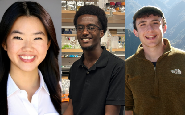 3 separate headshots side by side. From Left to Right: Lauren, Yerosen, Benjamin.