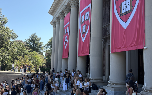 Photo of Widener Steps, the stairs leading up to Harvard's Widener Library building.
