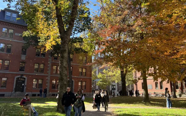 Harvard Yard