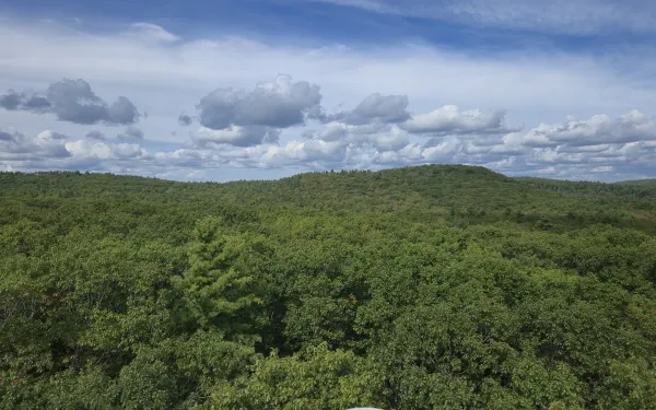Aerial view of Harvard Forest