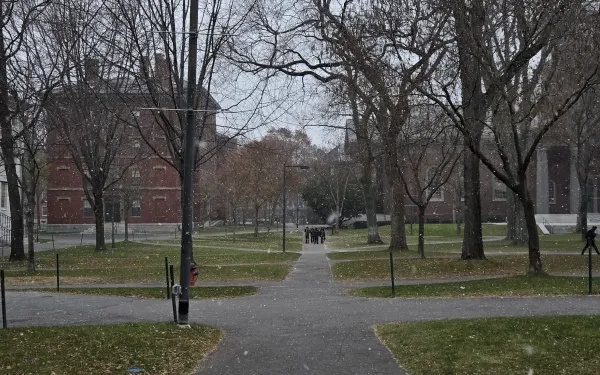 Tercentenary Theatre with snowfall