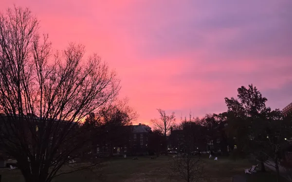 pink sunset