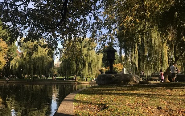 a waterside view of the boston public garden