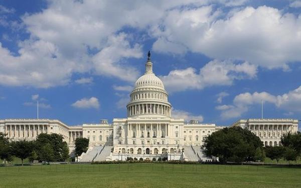 An image of the U.S. Capitol in Washington D.C.